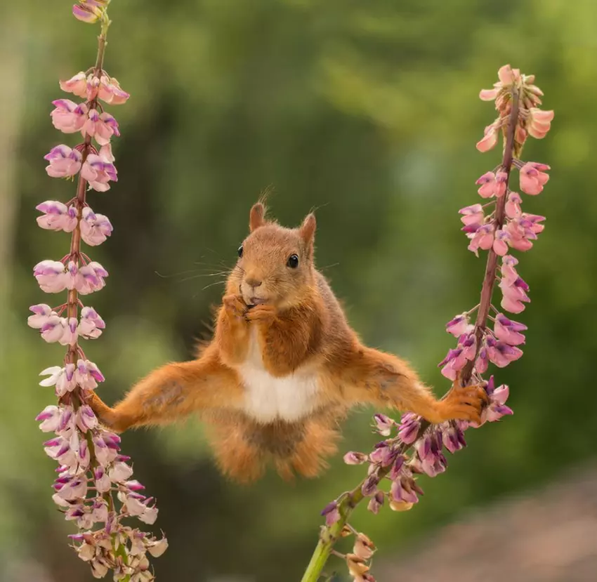 Wonderful, Wild and Wacky Creatures