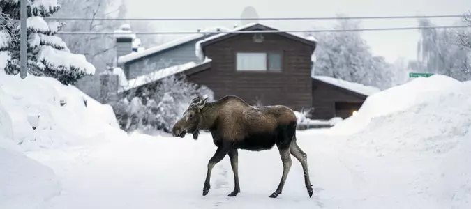 5 News Photos That Impressed Us This Week