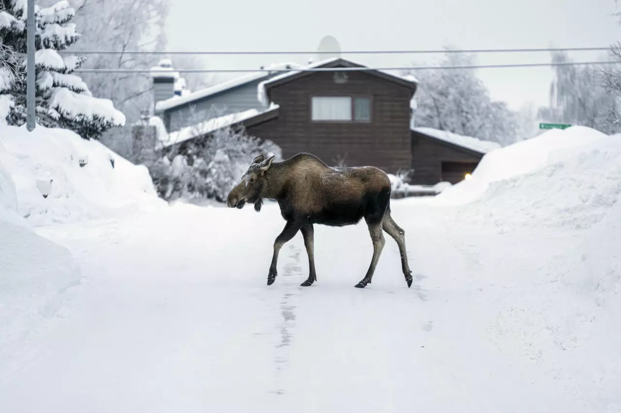 5 News Photos That Impressed Us This Week