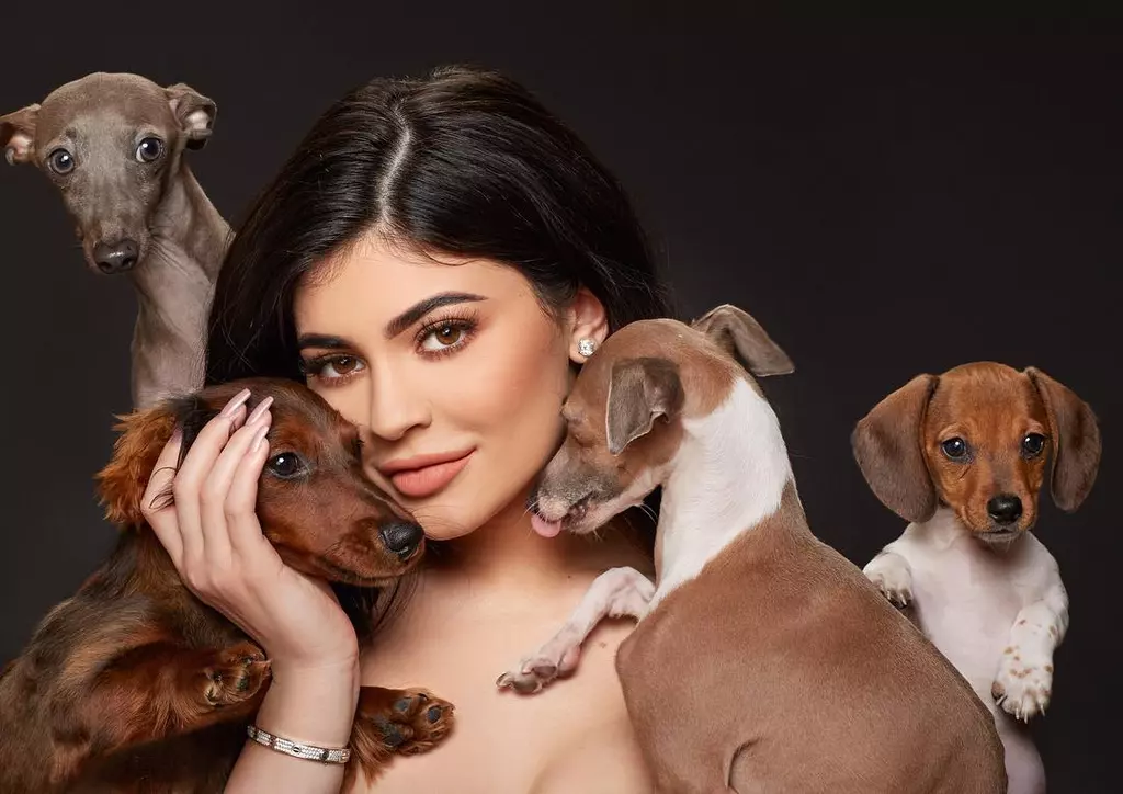 Celebrities and Their Dogs