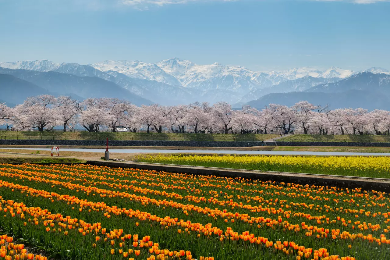 What to Do in Central Hokkaido, Japan's Tranquil Northern Escape