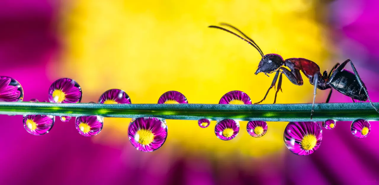 9 Incredible Photos of Water Refraction
