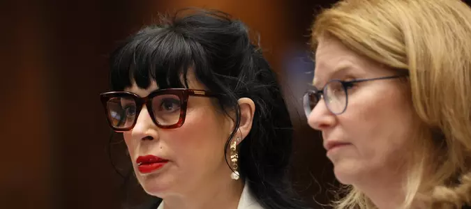 Bestselling author and wife of Weezer bassist avoids jail after shooting at LAPD officers