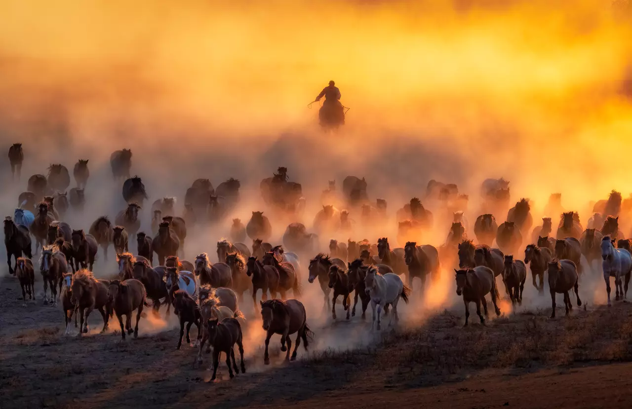 Winners of the World Photography Awards