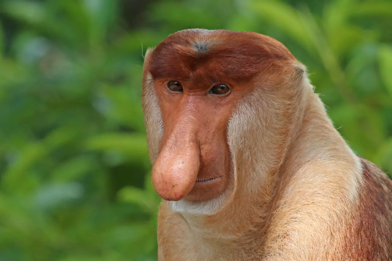 10 Epic Fails in Evolution