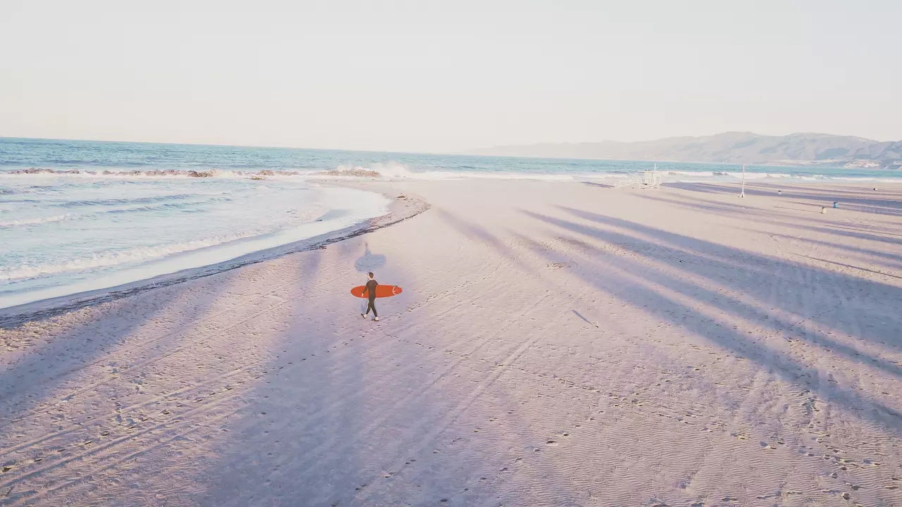 Beautiful Venice Beach from Above