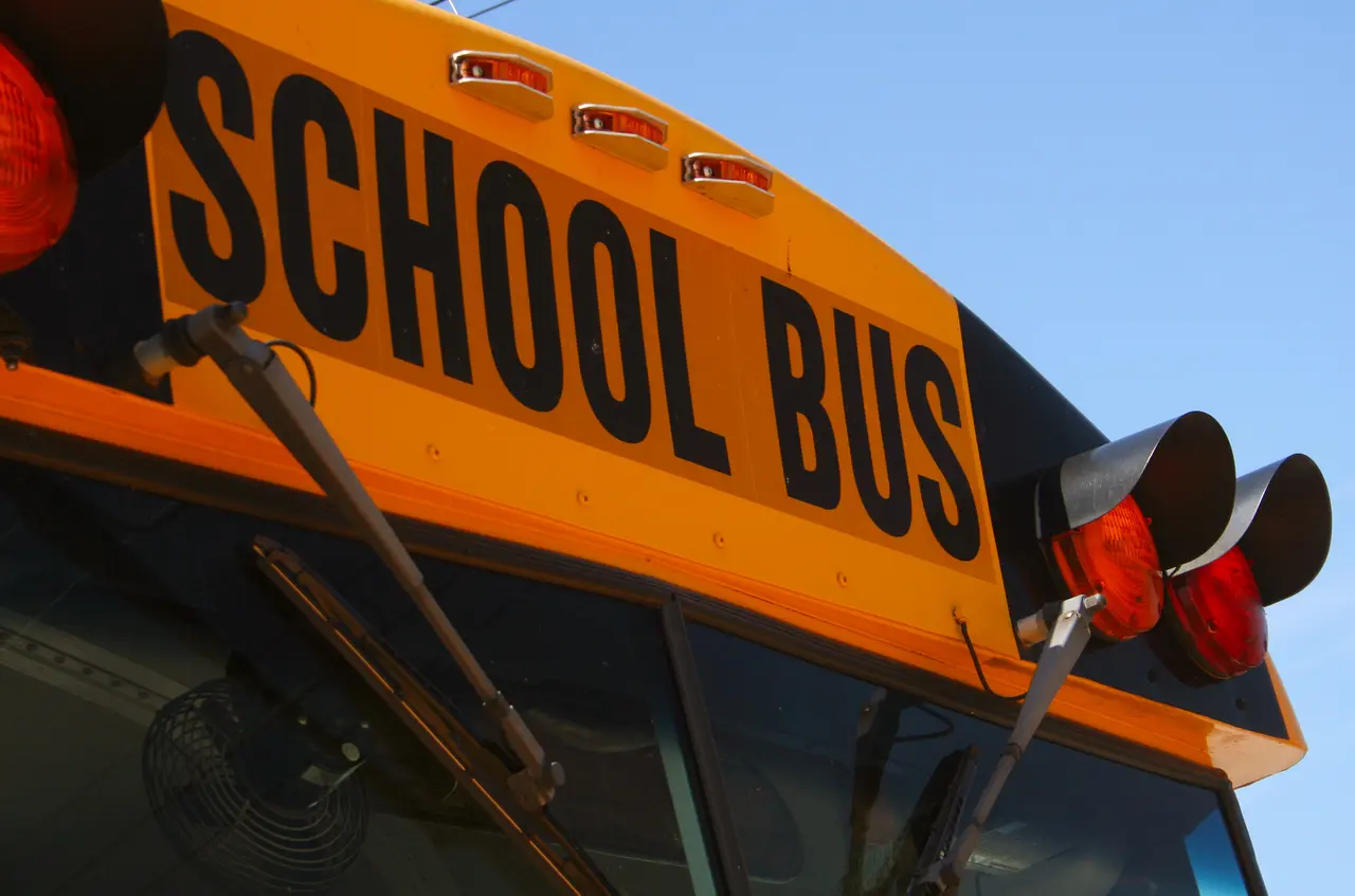 Parents push to reinstate bus driver removed after kitten rescue