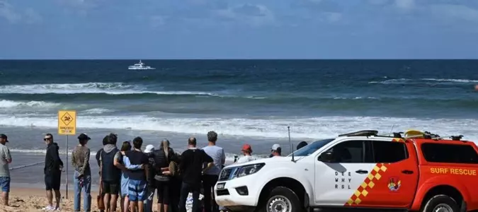 Surfer dies in Sydney shark attack
