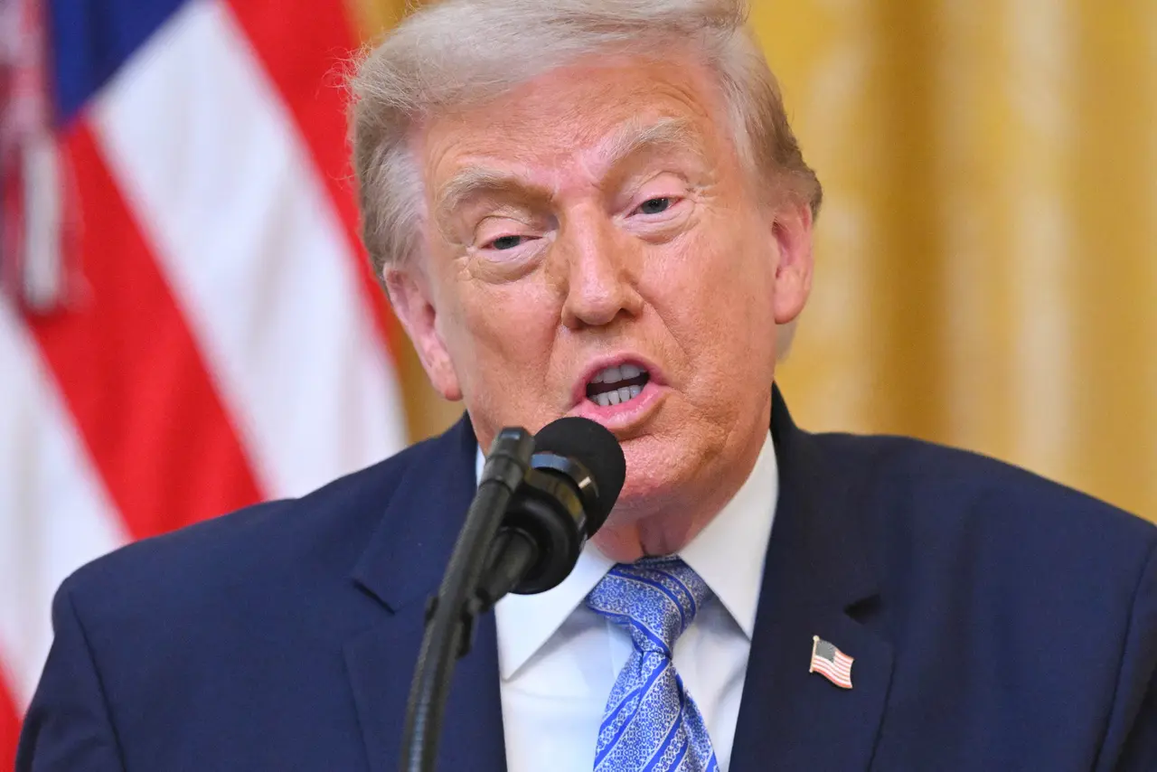Trump speech fails to deliver smoking gun on voting improprieties