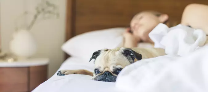 How to Get Better Sleep, According to Experts
