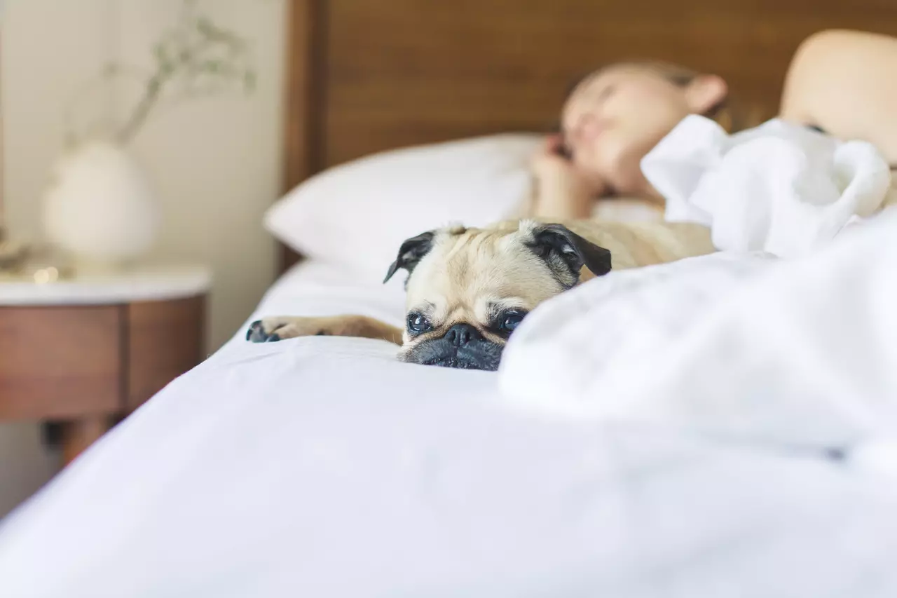 How to Get Better Sleep, According to Experts