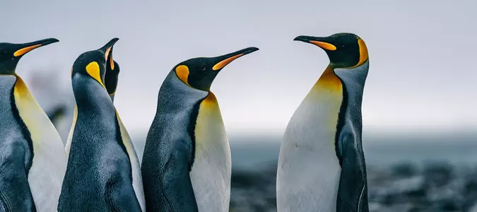 10 Amazing Photos of the World