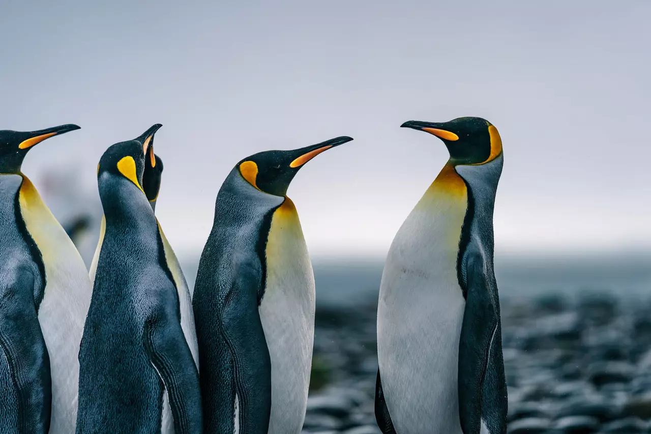 10 Amazing Photos of the World
