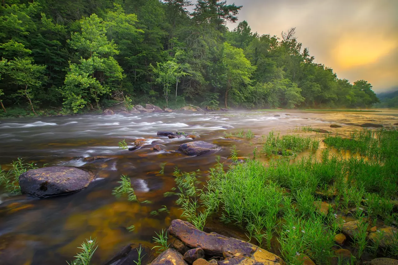 8 Views of the Serene Obed Wild & Scenic River