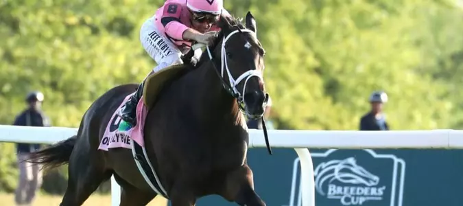 Weekend horse racing all about turf, 2-year-olds