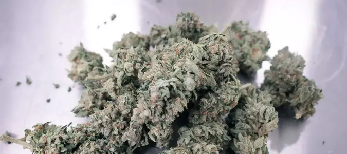 Marijuana use linked to increased risk of type 2 diabetes