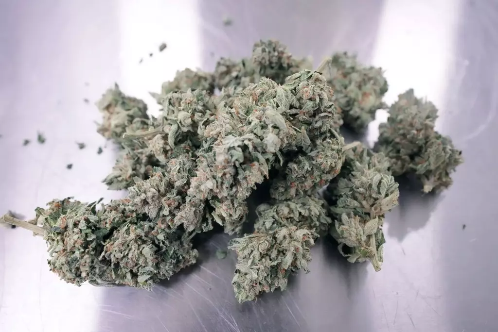 Marijuana use linked to increased risk of type 2 diabetes