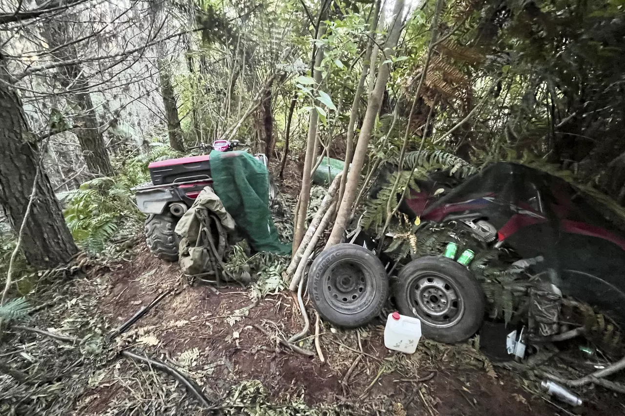 New Zealand police investigate how a man hid his 3 children in a forest for years without discovery