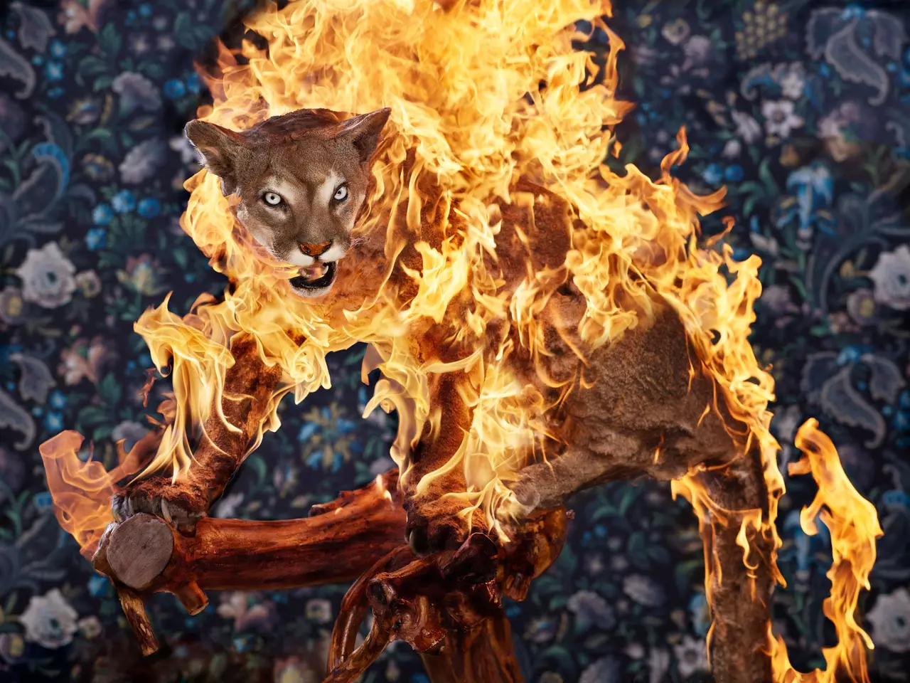 Photos Demonstrate Chaos Caused by Fire
