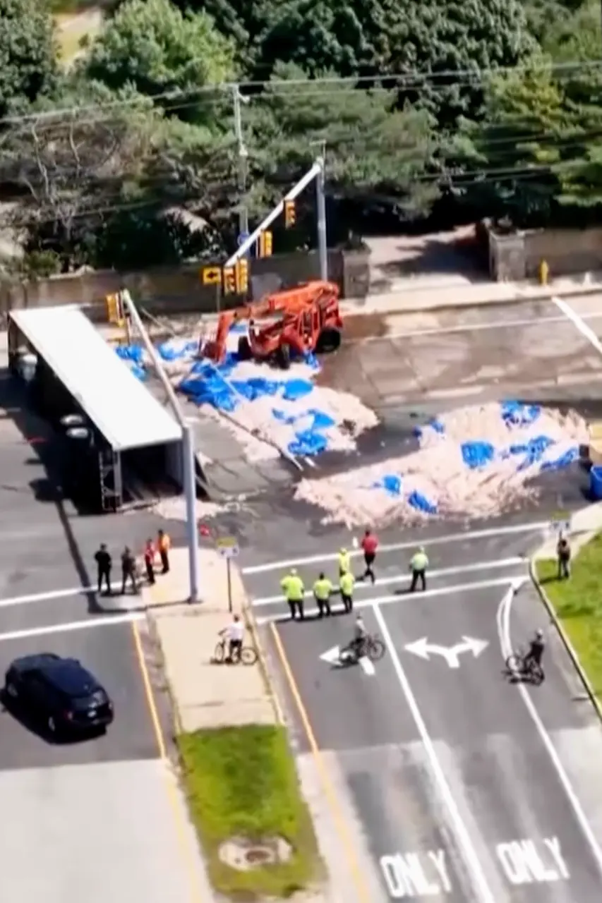 Truckload of squid spills into the street in Rhode Island, creating a smelly mess in the summer heat
